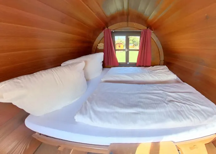 Rheingau 524 Schlaffassdorf Direkt Am Rhein *